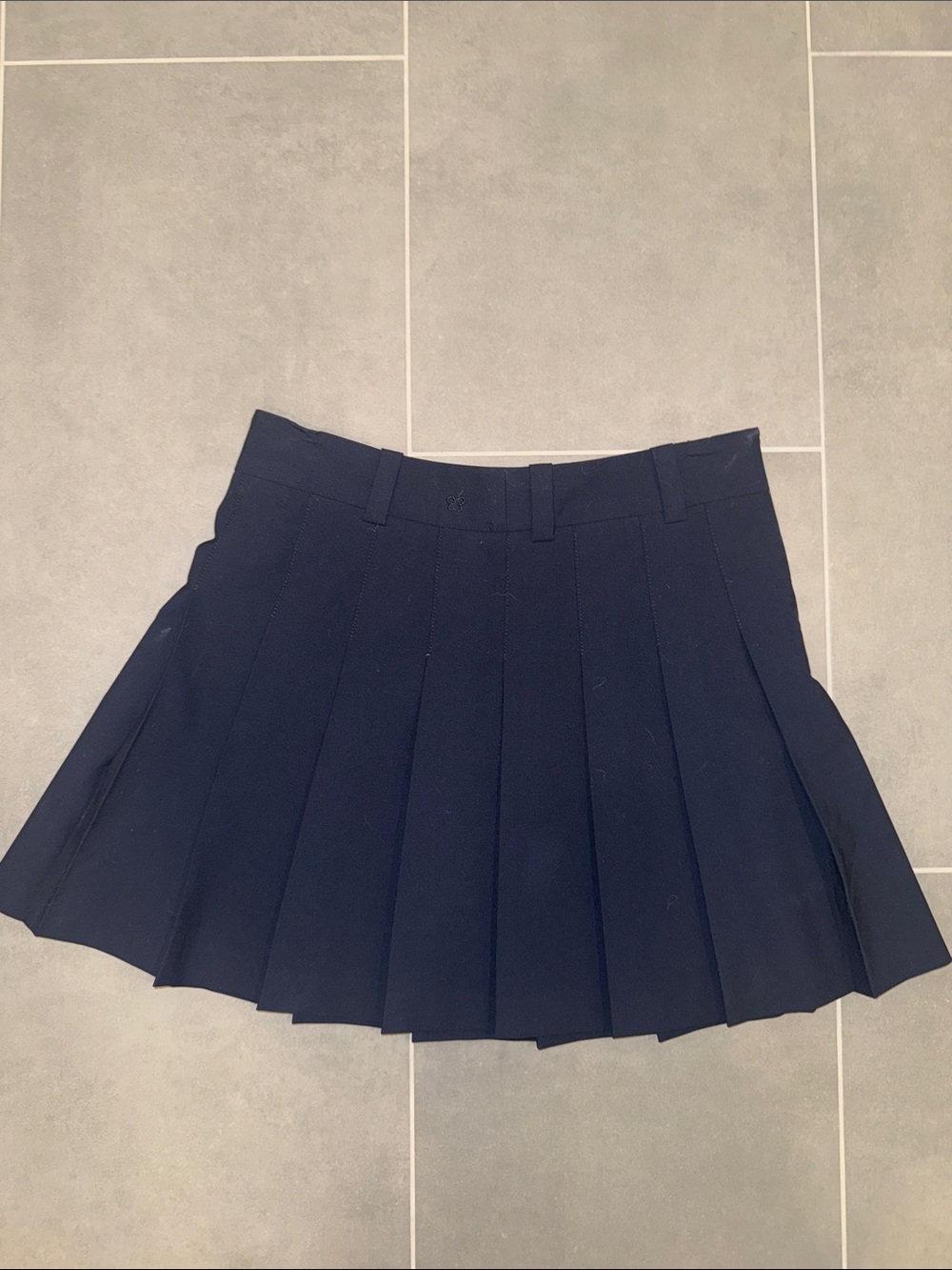 Aritzia Navy Pleated Skater Skirt